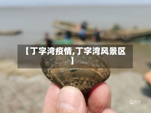 【丁字湾疫情,丁字湾风景区】-第3张图片