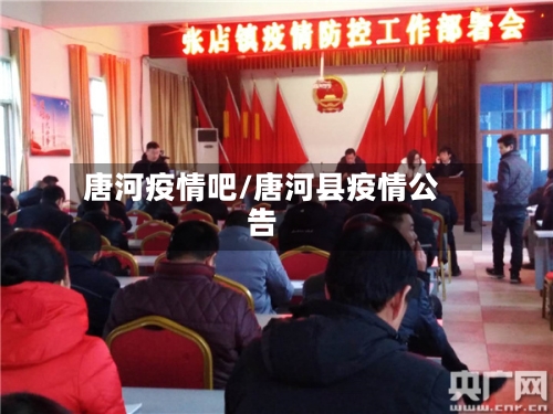 唐河疫情吧/唐河县疫情公告-第2张图片