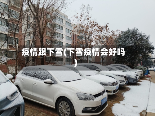 疫情跟下雪(下雪疫情会好吗)-第2张图片