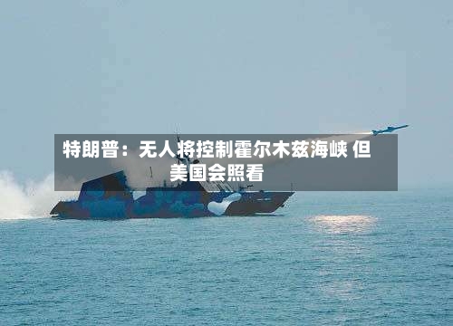 特朗普：无人将控制霍尔木兹海峡 但美国会照看