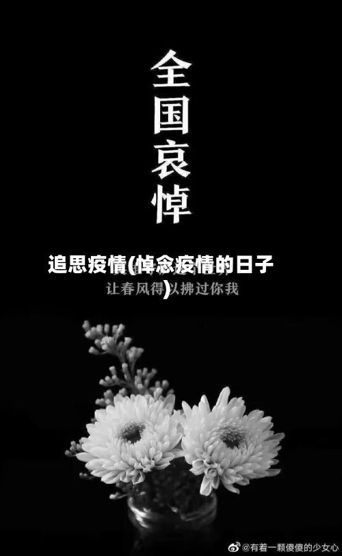 追思疫情(悼念疫情的日子)