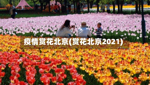 疫情赏花北京(赏花北京2021)