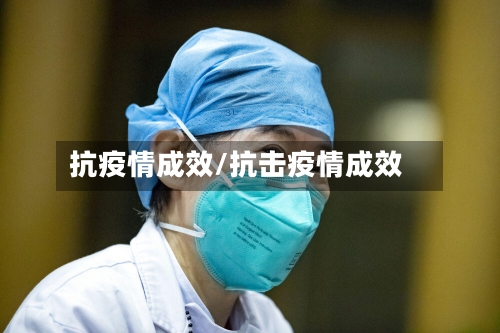 抗疫情成效/抗击疫情成效