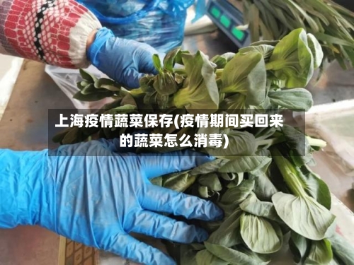 上海疫情蔬菜保存(疫情期间买回来的蔬菜怎么消毒)