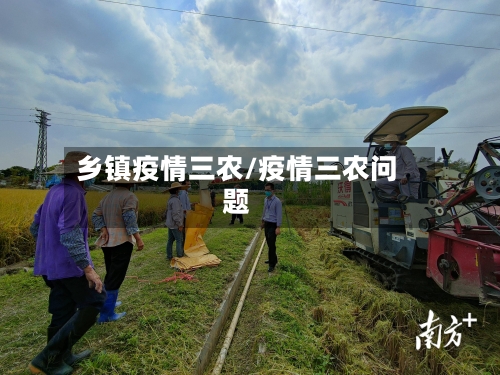 乡镇疫情三农/疫情三农问题