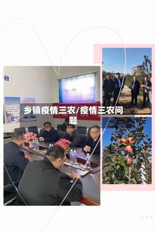 乡镇疫情三农/疫情三农问题-第2张图片