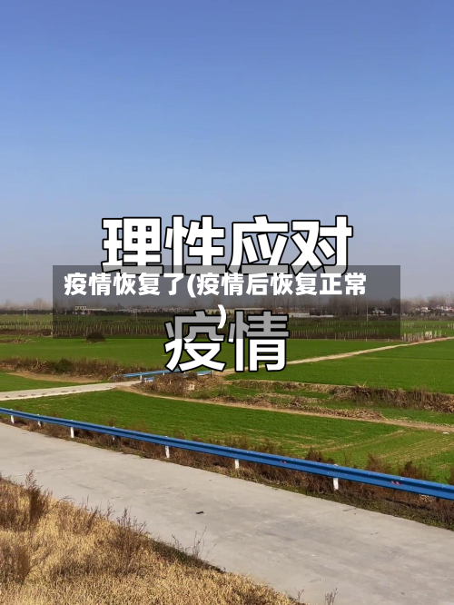 疫情恢复了(疫情后恢复正常)