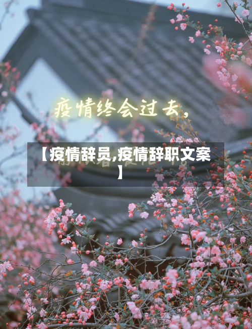【疫情辞员,疫情辞职文案】-第3张图片