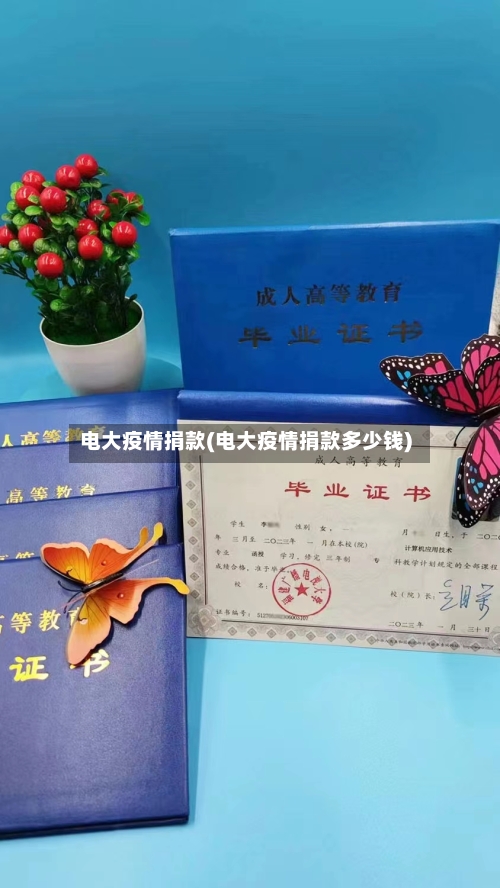 电大疫情捐款(电大疫情捐款多少钱)-第2张图片