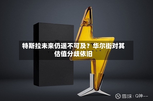 特斯拉未来仍遥不可及？华尔街对其估值分歧依旧