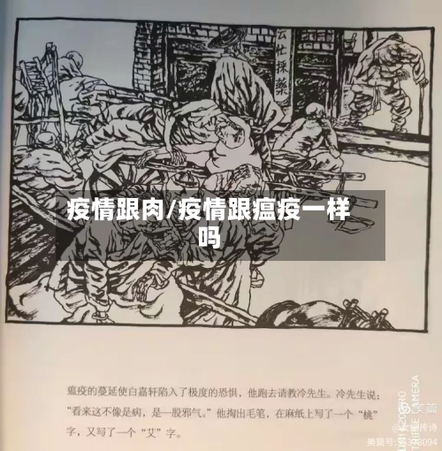 疫情跟肉/疫情跟瘟疫一样吗