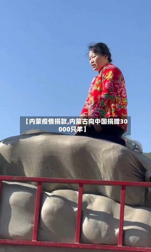 【内蒙疫情捐款,内蒙古向中国捐赠30000只羊】-第2张图片