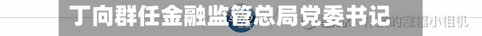 丁向群任金融监管总局党委书记-第2张图片