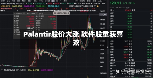 Palantir股价大涨 软件股重获喜欢