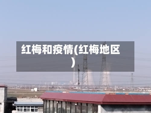 红梅和疫情(红梅地区)-第3张图片