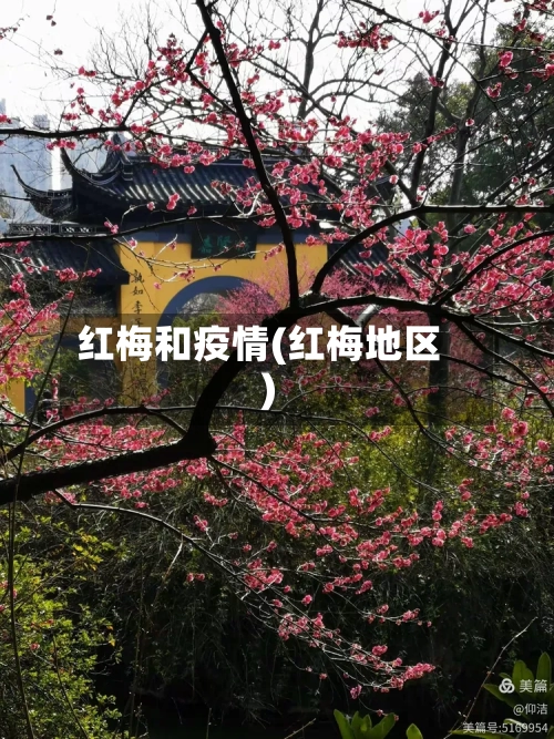 红梅和疫情(红梅地区)-第2张图片