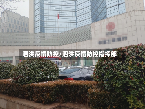 泗洪疫情防控/泗洪疫情防控指挥部-第2张图片