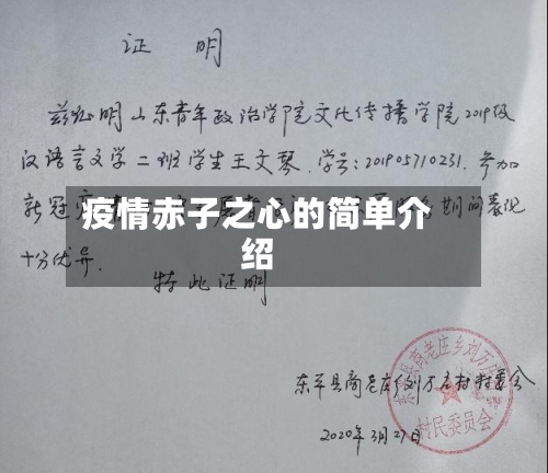 疫情赤子之心的简单介绍