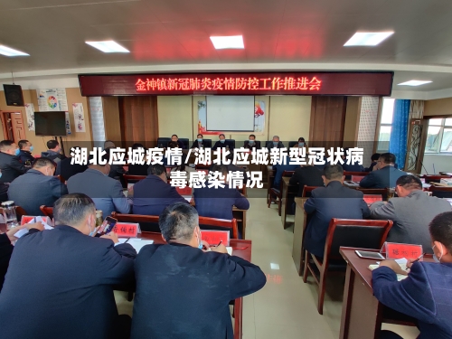 湖北应城疫情/湖北应城新型冠状病毒感染情况-第2张图片