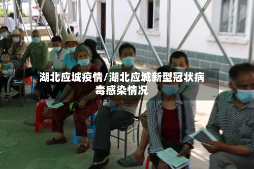 湖北应城疫情/湖北应城新型冠状病毒感染情况