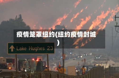 疫情笼罩纽约(纽约疫情封城)
