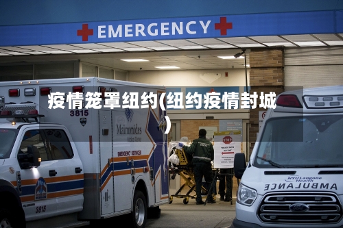 疫情笼罩纽约(纽约疫情封城)-第2张图片