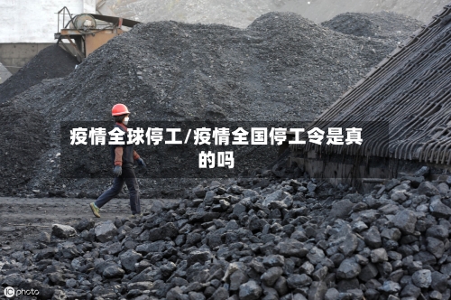 疫情全球停工/疫情全国停工令是真的吗-第2张图片