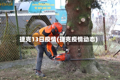 捷克13日疫情(捷克疫情动态)-第2张图片