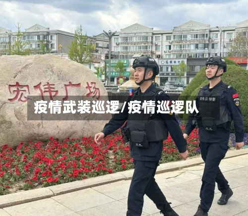 疫情武装巡逻/疫情巡逻队