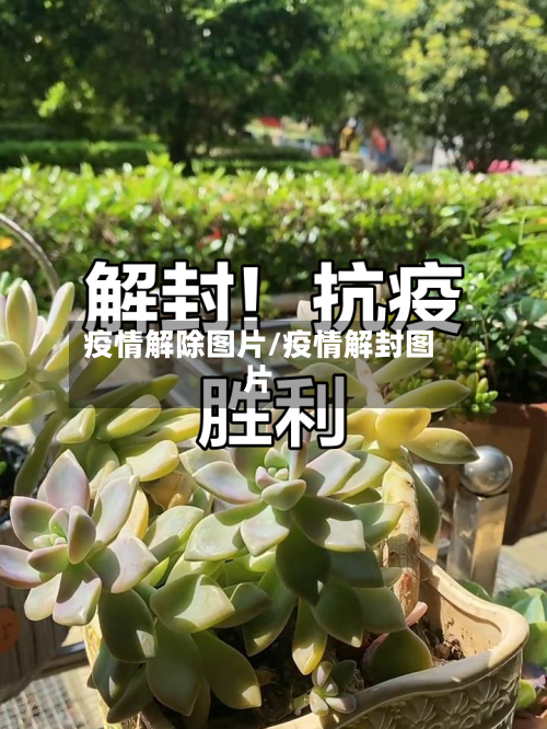 疫情解除图片/疫情解封图片-第2张图片