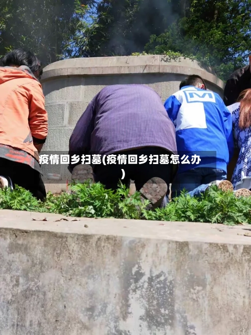 疫情回乡扫墓(疫情回乡扫墓怎么办)-第2张图片