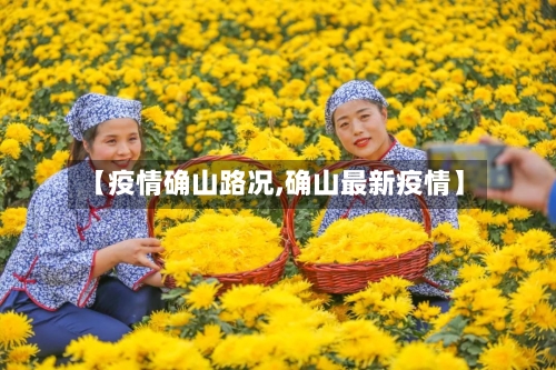 【疫情确山路况,确山最新疫情】-第3张图片
