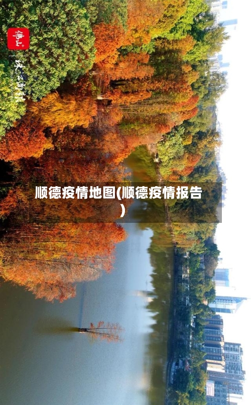 顺德疫情地图(顺德疫情报告)-第2张图片