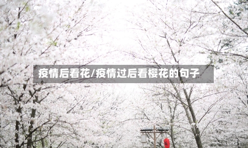 疫情后看花/疫情过后看樱花的句子-第2张图片