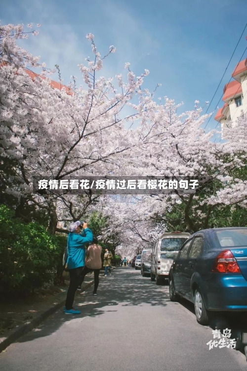 疫情后看花/疫情过后看樱花的句子