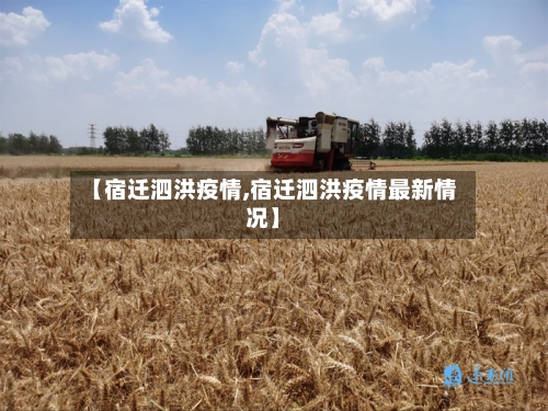 【宿迁泗洪疫情,宿迁泗洪疫情最新情况】