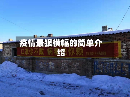 疫情最狠横幅的简单介绍