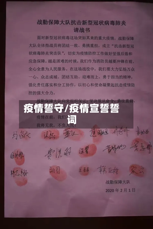 疫情誓守/疫情宣誓誓词-第3张图片