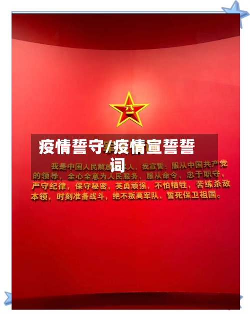 疫情誓守/疫情宣誓誓词-第2张图片