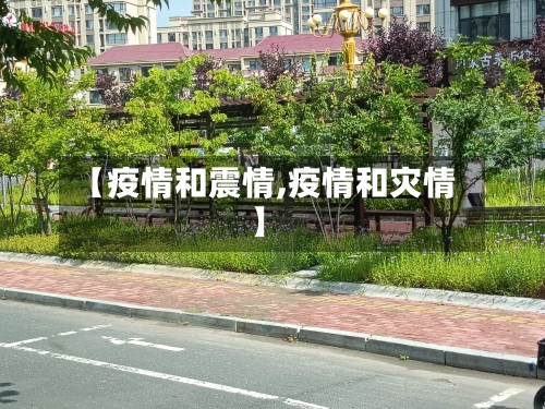 【疫情和震情,疫情和灾情】