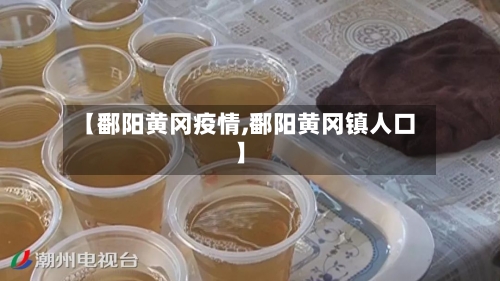 【鄱阳黄冈疫情,鄱阳黄冈镇人口】