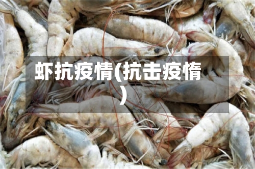 虾抗疫情(抗击疫惰)-第2张图片