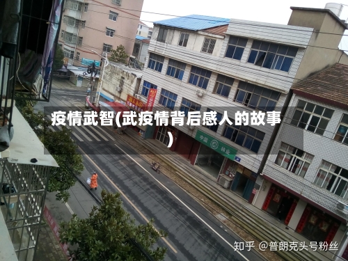 疫情武智(武疫情背后感人的故事)-第3张图片