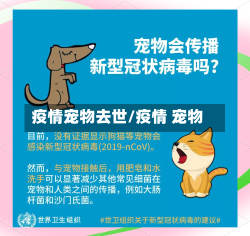 疫情宠物去世/疫情 宠物-第2张图片