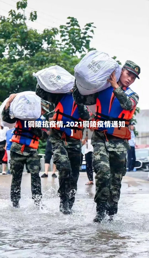 【铜陵抗疫情,2021铜陵疫情通知】-第2张图片