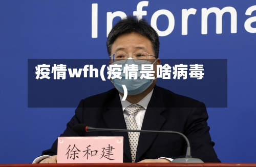 疫情wfh(疫情是啥病毒)-第3张图片
