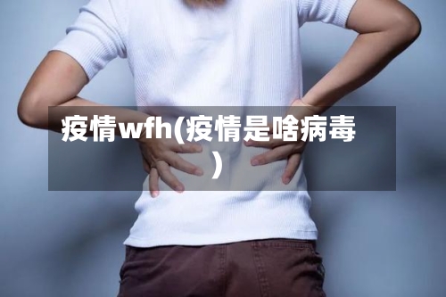 疫情wfh(疫情是啥病毒)-第2张图片