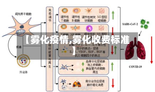 【雾化疫情,雾化收费标准】-第2张图片