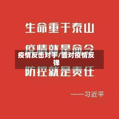 疫情反击对手/面对疫情反弹
