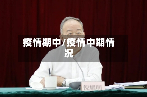 疫情期中/疫情中期情况